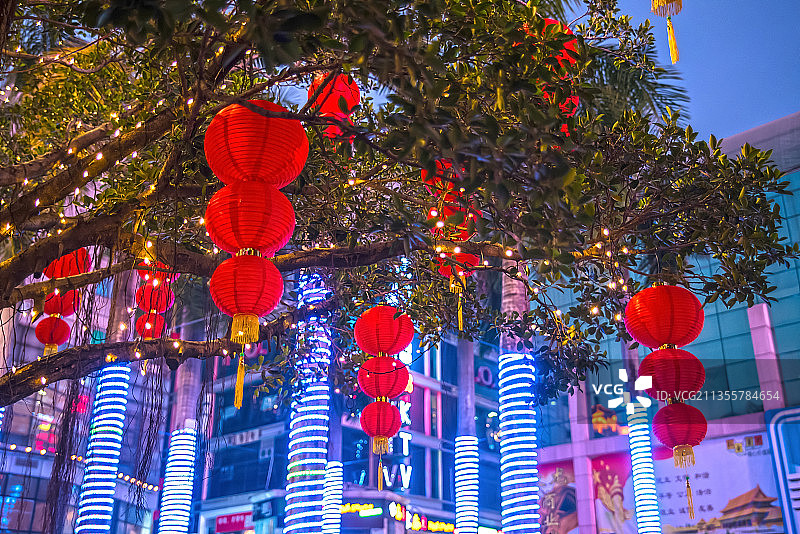 高挂在树上的大红灯笼，欢度春节背景素材图片素材