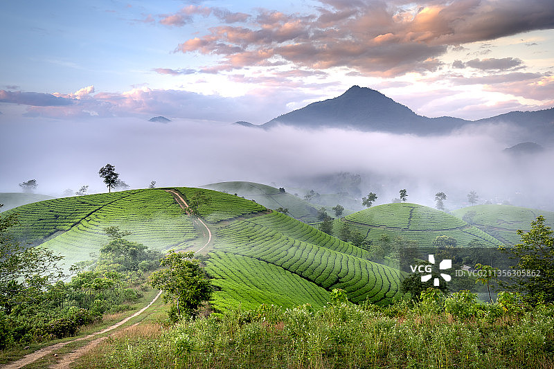 越南，日落时天空映衬下的农田风景图片素材