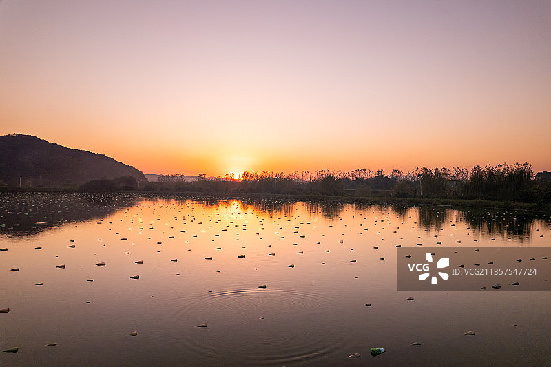夕阳下的诸暨山下湖珍珠养殖蚌场图片素材