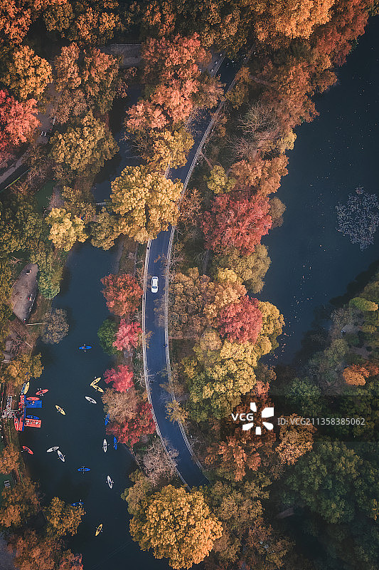 南京钟山流徽榭的秋天图片素材