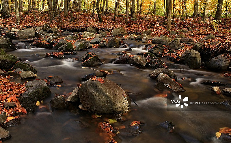 秋天森林中溪流的景色图片素材