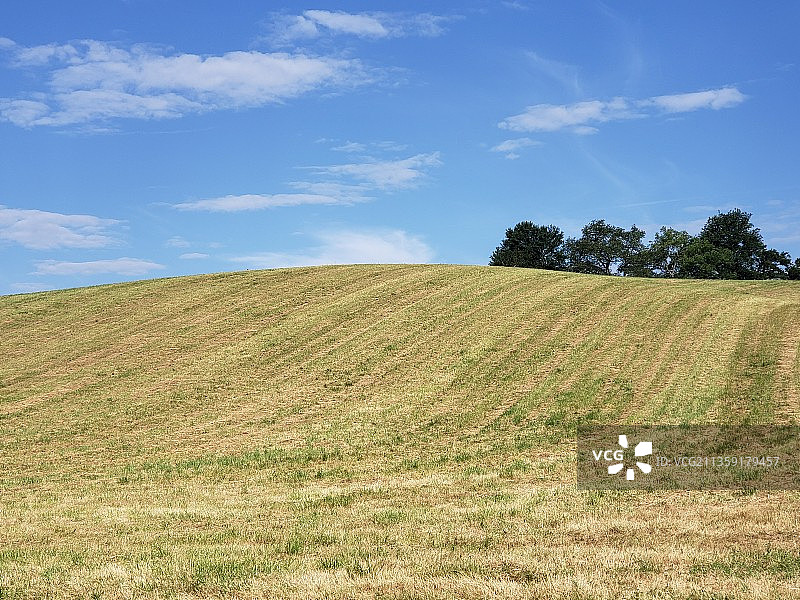 风景如画的农业领域对天空，法国图片素材