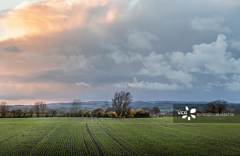 德国布尔肯多夫，塞伦多夫，天空映衬下的农田风景图片素材