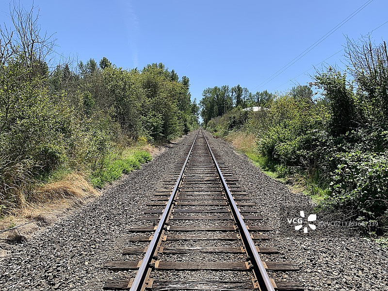 沿着铁路，空的铁路轨道在树木中反对晴朗的天空，俄勒冈州，美国图片素材