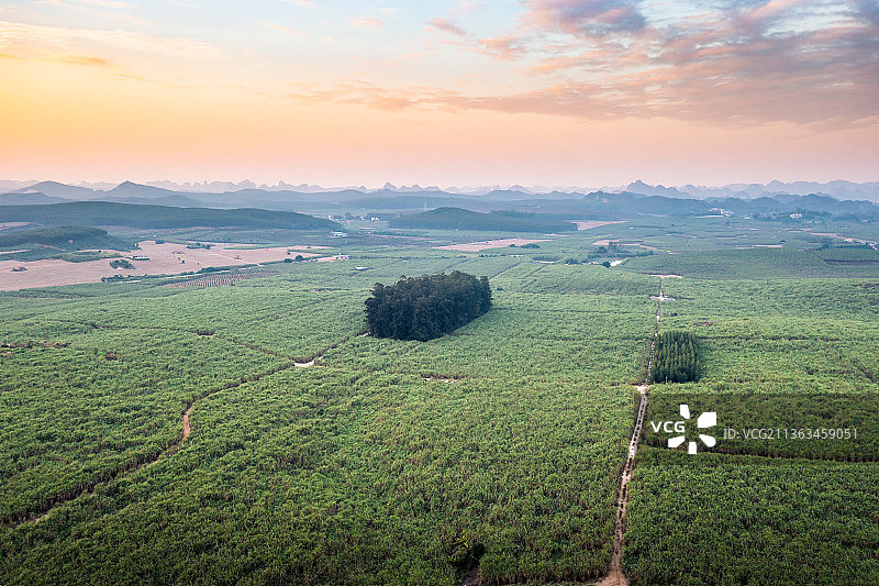 2021年12月，广西崇左市扶绥县东门镇山地甘蔗农作物航拍风光图片素材