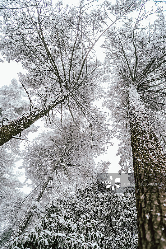 杭州临安大明山冬天雪景风光图片素材
