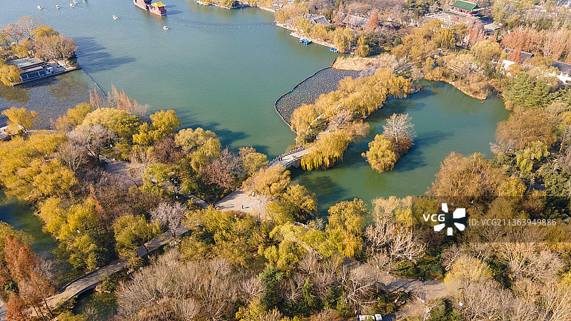 中国山东济南大明湖金色垂柳航拍俯视秋色图图片素材