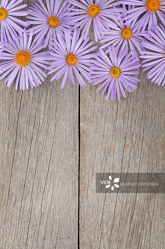 木制背景与蓝色的花朵，高视角的紫色开花植物在木制的桌子上图片素材