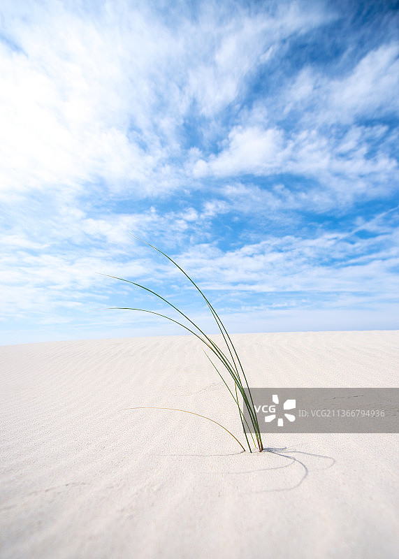 沙丘的宁静，沙漠对着天空的风景，丹麦图片素材
