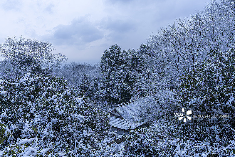 青城山 雪山 远山 雪景 林间小路 树林 雪 天空图片素材
