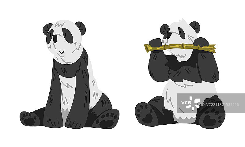 可爱的坐熊猫野生动物卡通图片素材