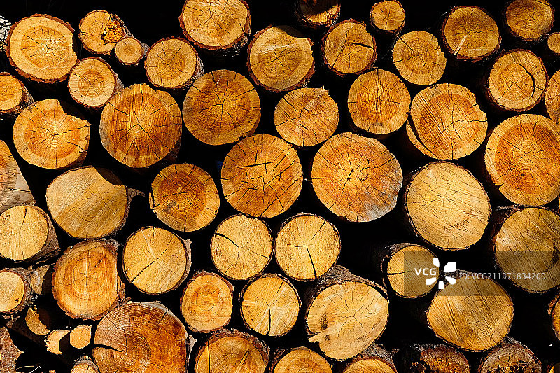 储存中的木质原木，瑞士原木的全帧镜头图片素材