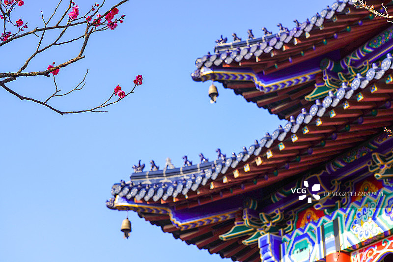 江苏南京梅花山上古典建筑，博爱阁旁的一枝梅花图片素材