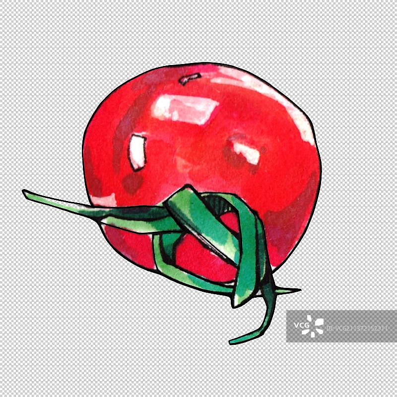 圣女果 番茄 西红柿 新鲜水果多汁维生素营养均衡图片素材