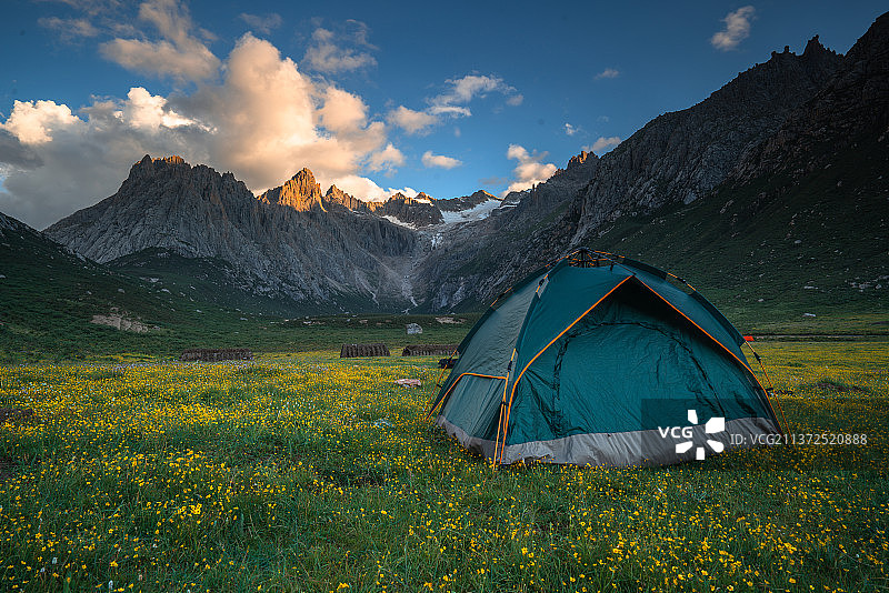 春天里高山下露营地里的帐篷图片素材