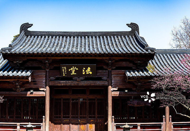 早春蓝天下的上海广富林知也禅寺富林塔.窗前红墙梅花图片素材