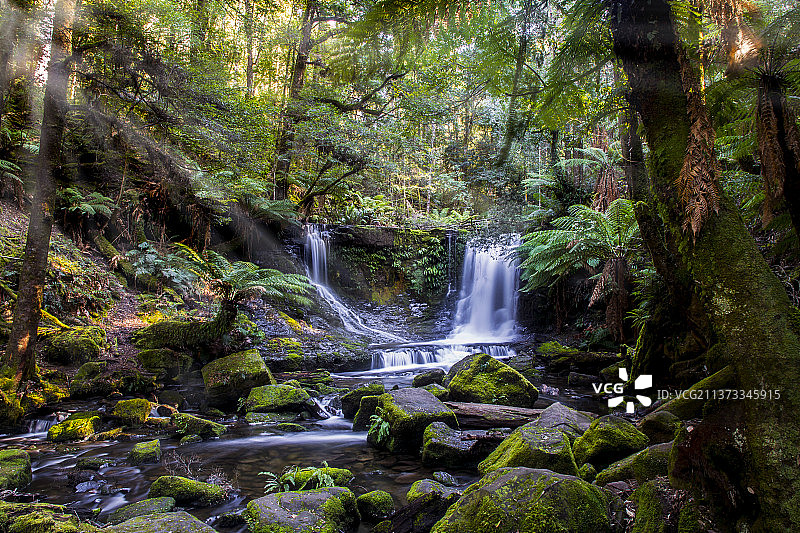 神奇森林，澳大利亚森林瀑布景观图片素材