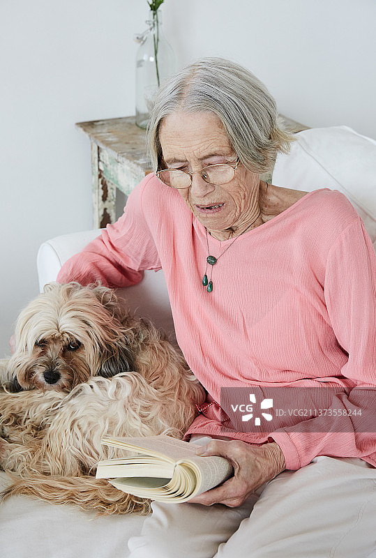 一位老年妇女和她的小狗在家里的画像。图片素材