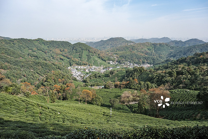 杭州西湖十里琅珰茶园图片素材