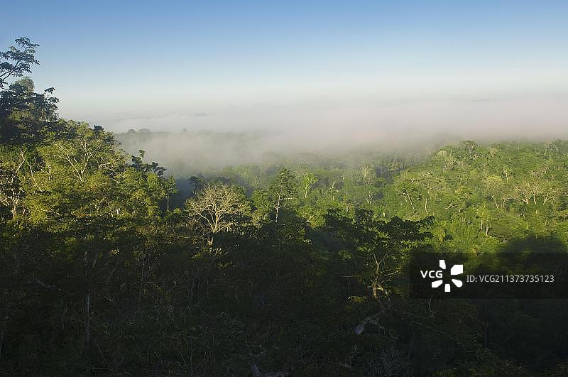 巴西马托格罗索州Alta Floresta附近的克里斯塔利诺国家公园，热带雨林上空的阴霾图片素材