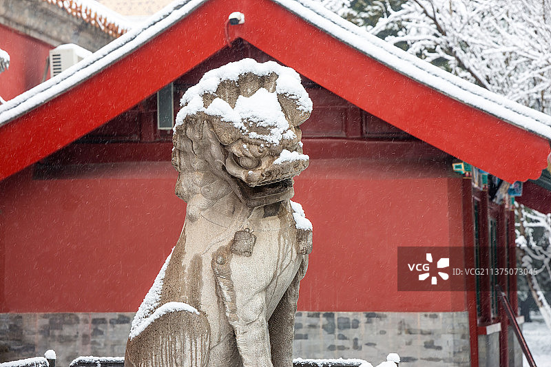 北京中山公园大雪中的石狮子图片素材