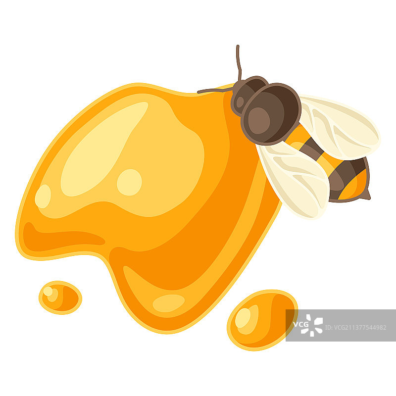 蜂蜜与蜜蜂形象的食物和图片素材
