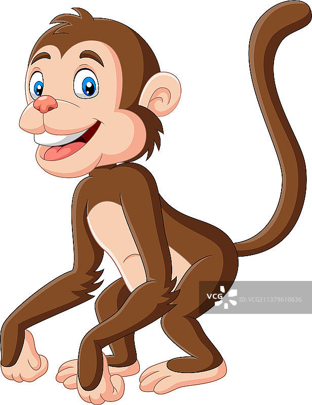 可爱的小猴子卡通在白色背景图片素材