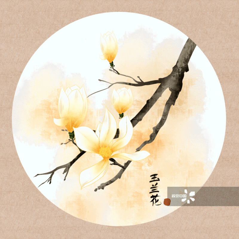 中国风水彩花卉植物玉兰花插画-GIF动图图片素材