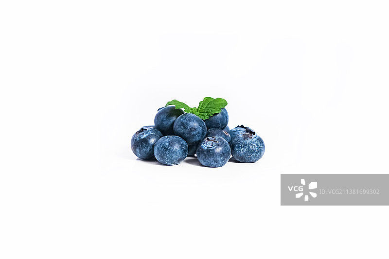 白色背景下的蓝莓图片素材