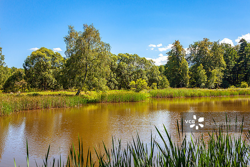 夏天的池塘边，波兰湛蓝的天空映衬着美丽的湖面图片素材