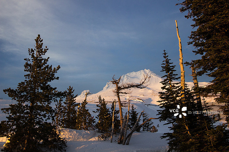 森林线日落，雪覆盖的土地上的树对着天空，胡德山，俄勒冈州，美国，美国图片素材