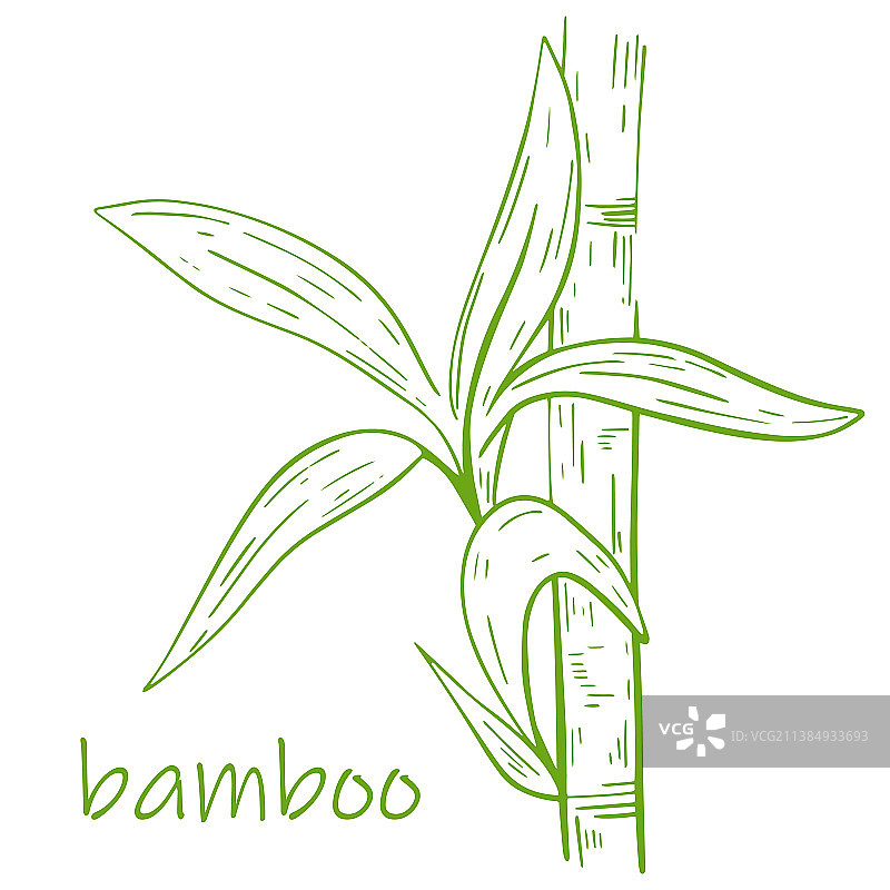 竹茎带叶手刻图片素材