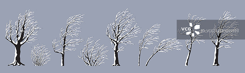 被雪覆盖的树木和灌木丛图片素材