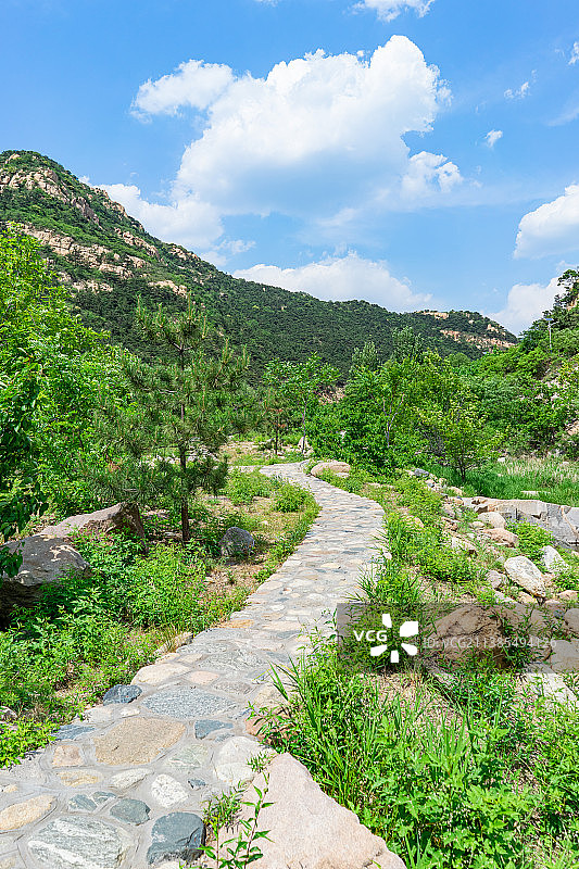 中国市岱岳区彩石溪风景区，蜿蜒的铺路石步行道路和绿色山脉森林，户外无人图像摄影图片素材