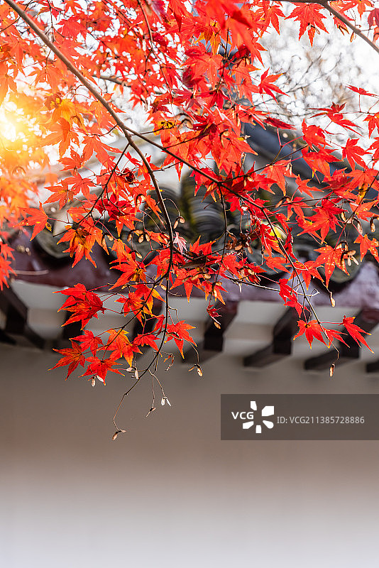 秋天中国南京栖霞山的枫叶古建筑图片素材