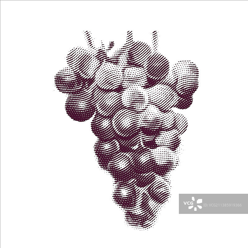 雕刻的葡萄孤立在白色图片素材