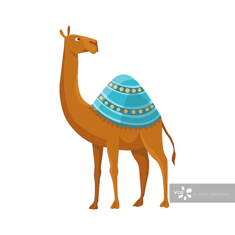 有一个驼峰和单峰骆驼的沙漠动物图片素材