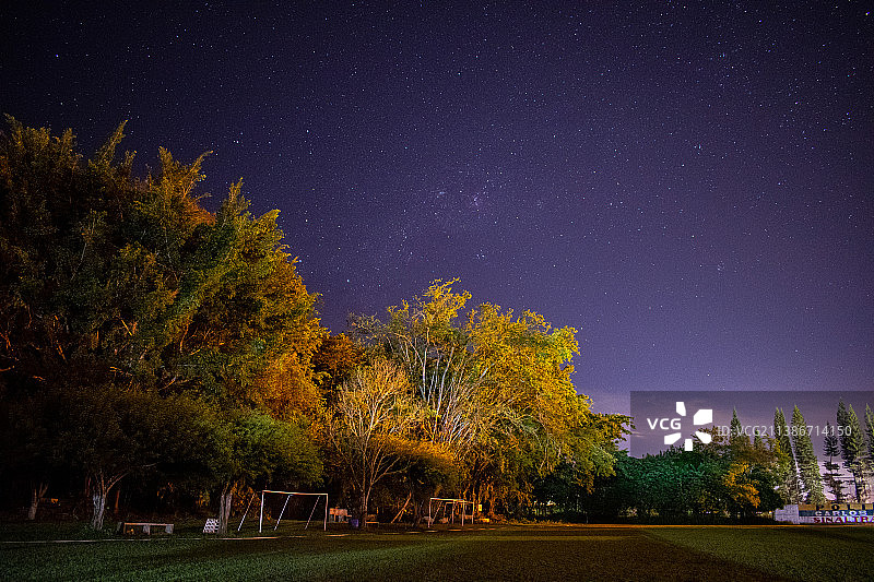 树木在夜晚映衬着天空图片素材