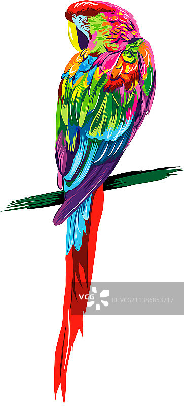 鹦鹉金刚从五颜六色的油漆飞溅图片素材