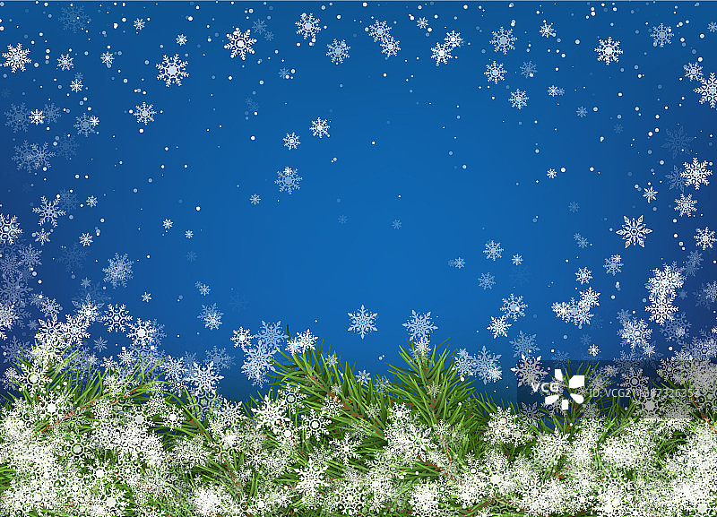 圣诞树的枝桠在蓝色的背景上用图片素材