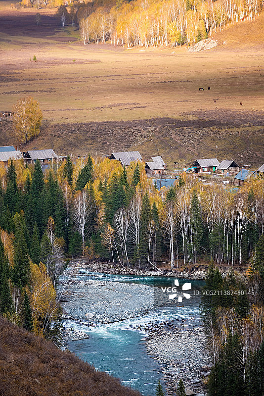 新疆禾木秋景图片素材