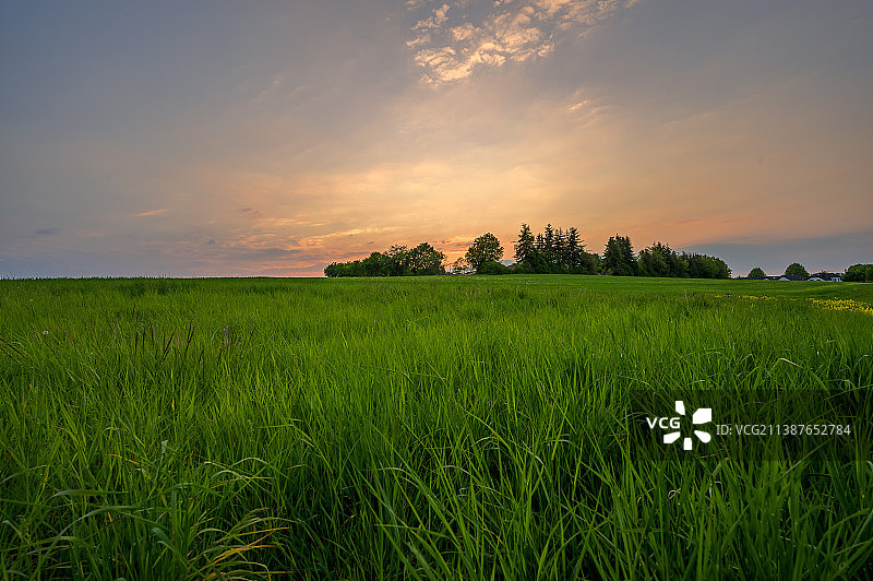 在日落期间，德国农田对着天空的风景图片素材