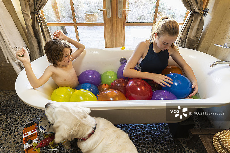 美国的家，小男孩和他的姐姐在装满水球的浴缸里图片素材