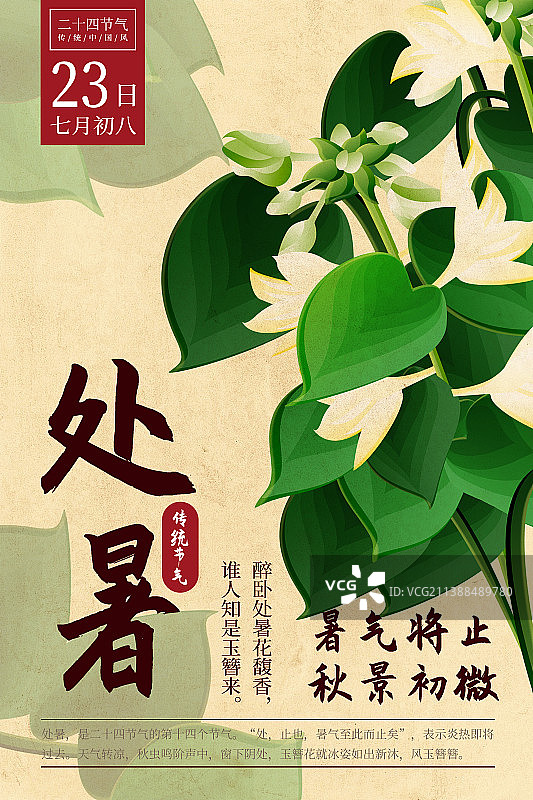 二十四节气新中式植物海报-14处暑-玉簪花图片素材