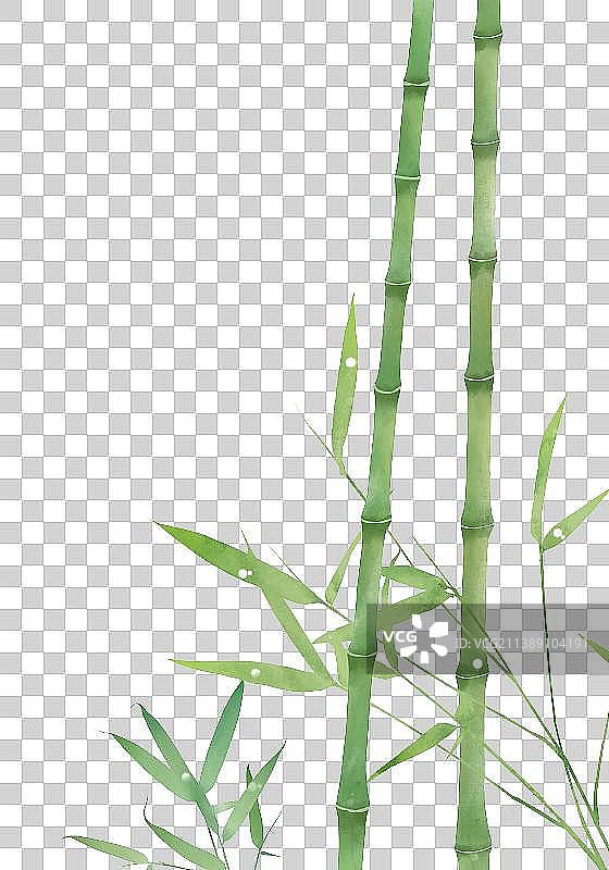 竹子素材图片素材