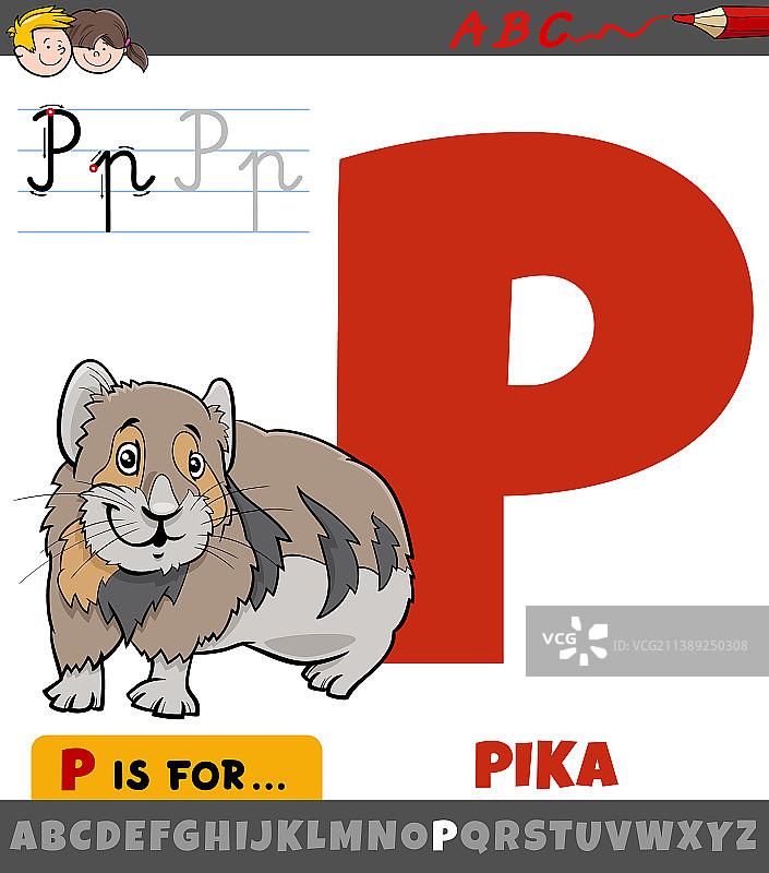 字母p从字母表与卡通鼠兔动物图片素材