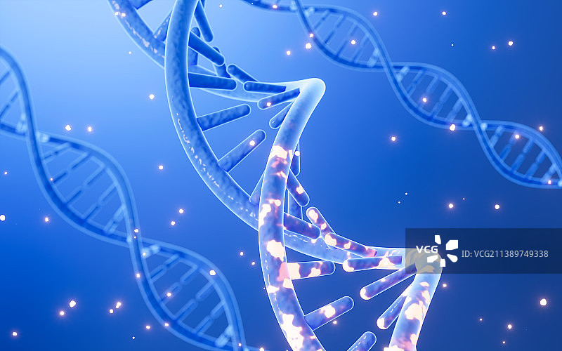 DNA 染色体螺旋结构3D渲染图片素材