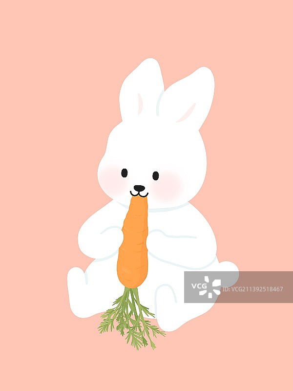 吃胡萝卜的可爱兔子图片素材