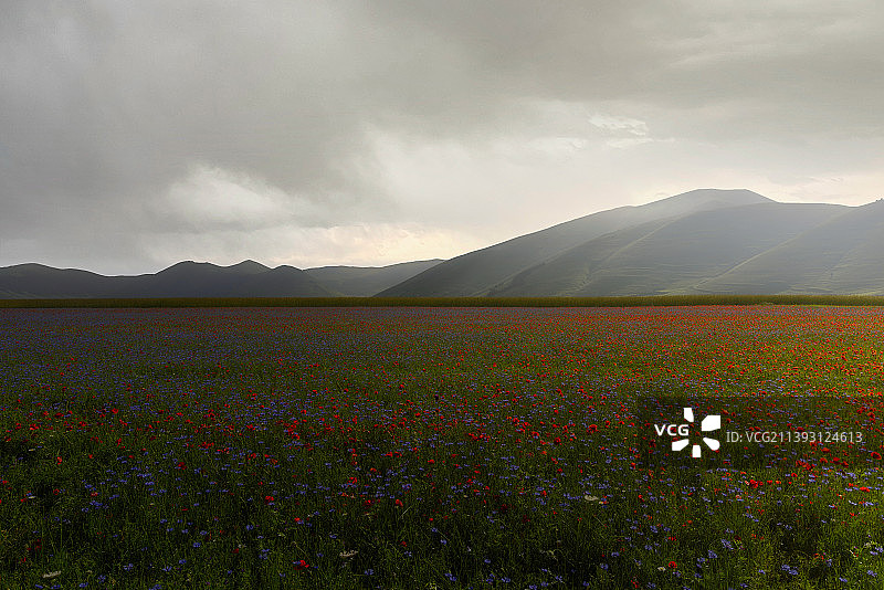 在多云的天空下的草地风景，佩鲁贾省，意大利图片素材