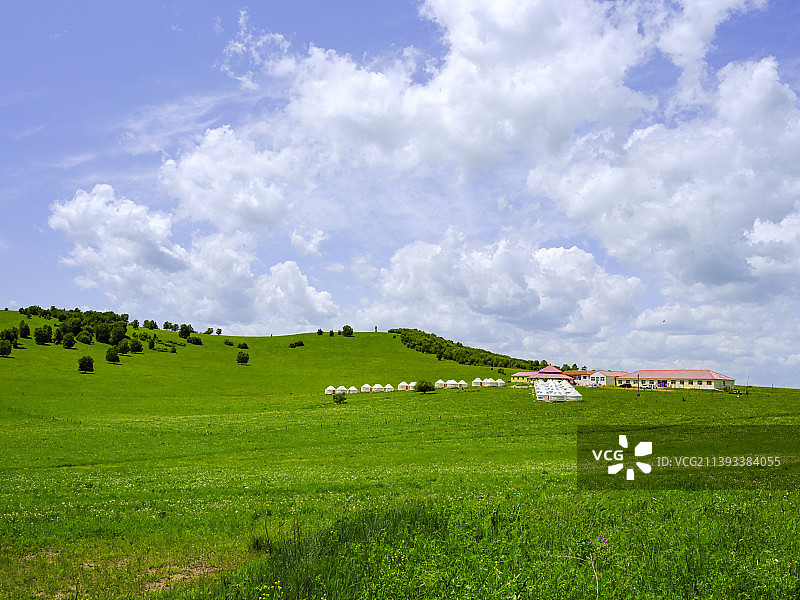 内蒙古克什克腾旗乌兰布统草原美丽的夏季图片素材